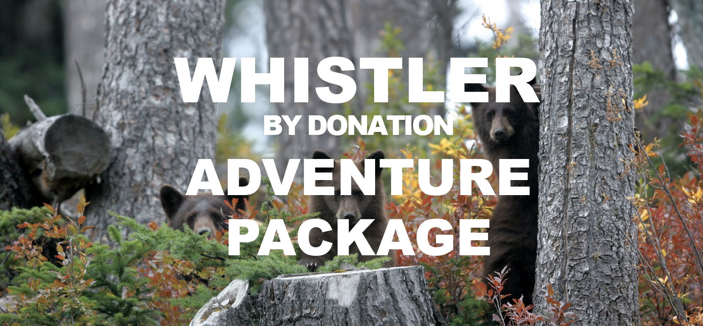 package-adventure